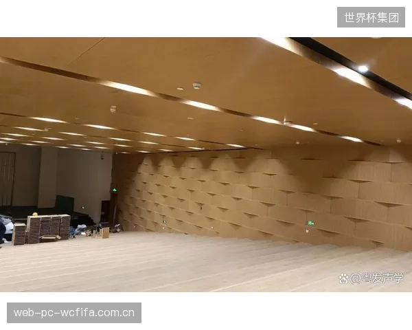 雄安体育中心声学终验完成,穿孔铝板墙面助力语言清晰度指数超越设计目标0.08 雄安体育中心声学终验完成,穿孔铝板墙面助力语言清晰度指数超越设计目标0.08